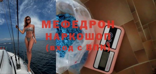 индика Алексин