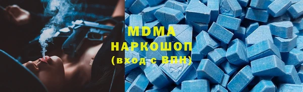 индика Алексин