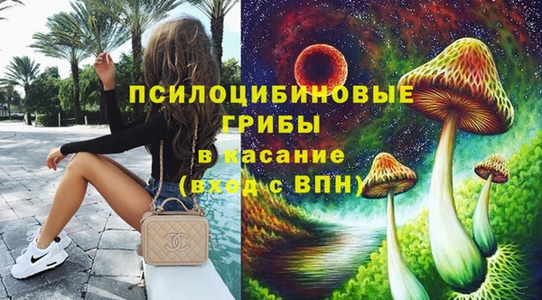 бошки Алзамай