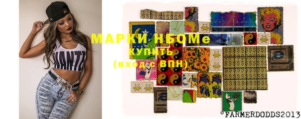 индика Алексин